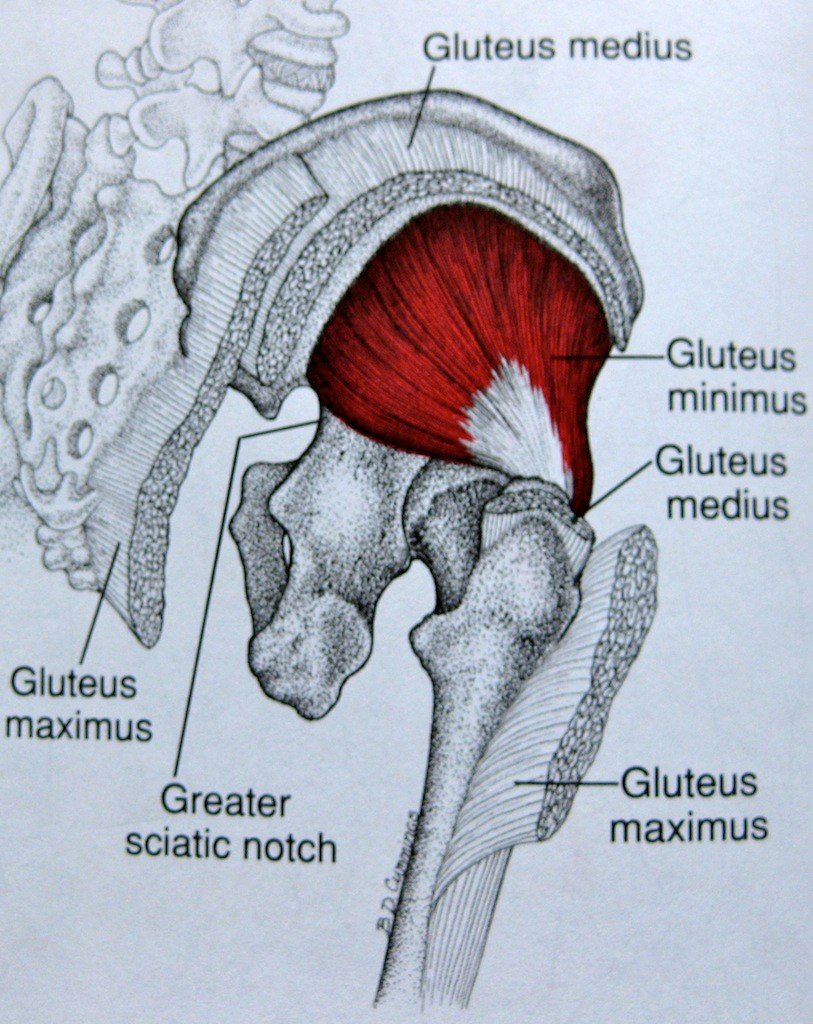 tight gluteus medius