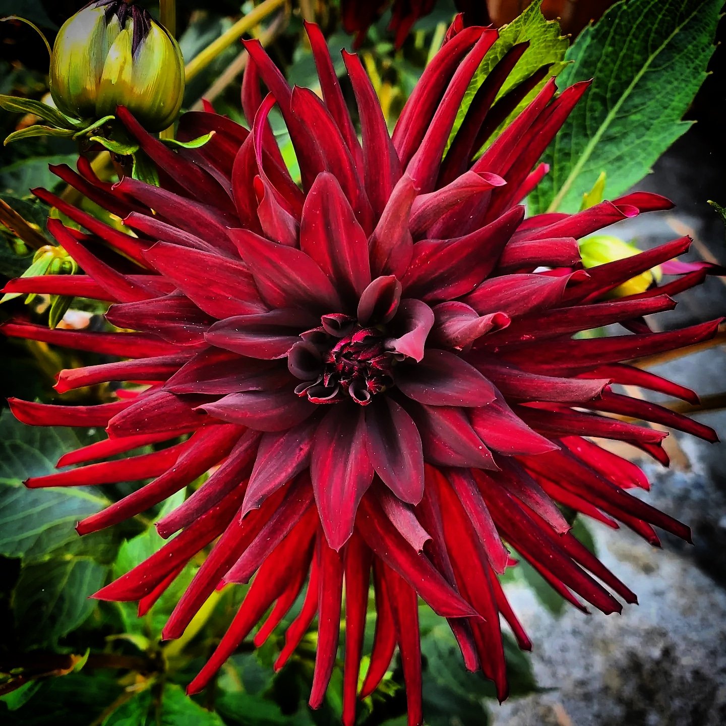 A Healthy Lifestyle Helps Tremendously