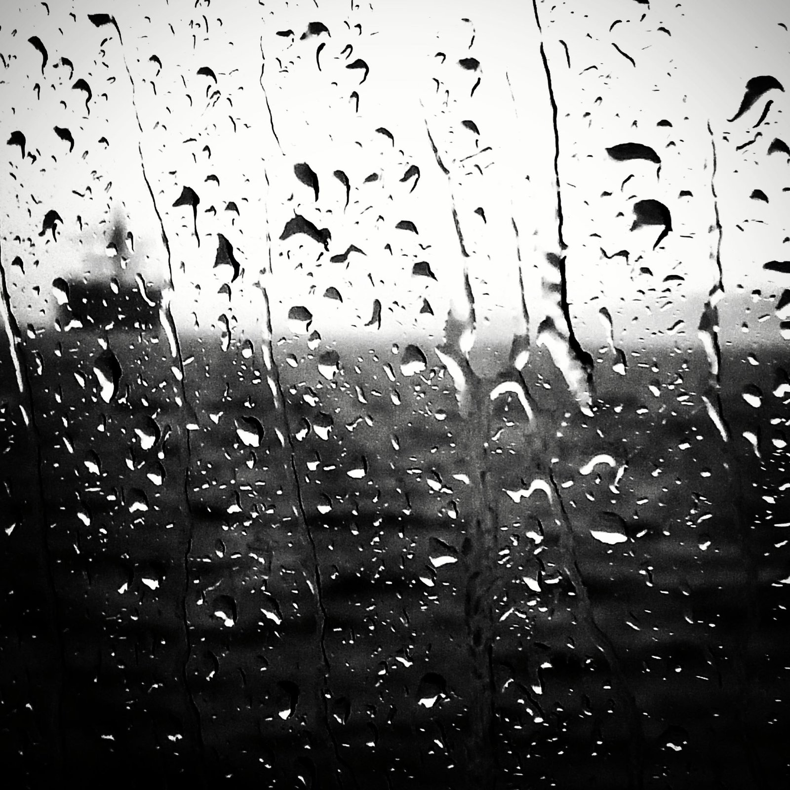 Feel Healthy During Menopause