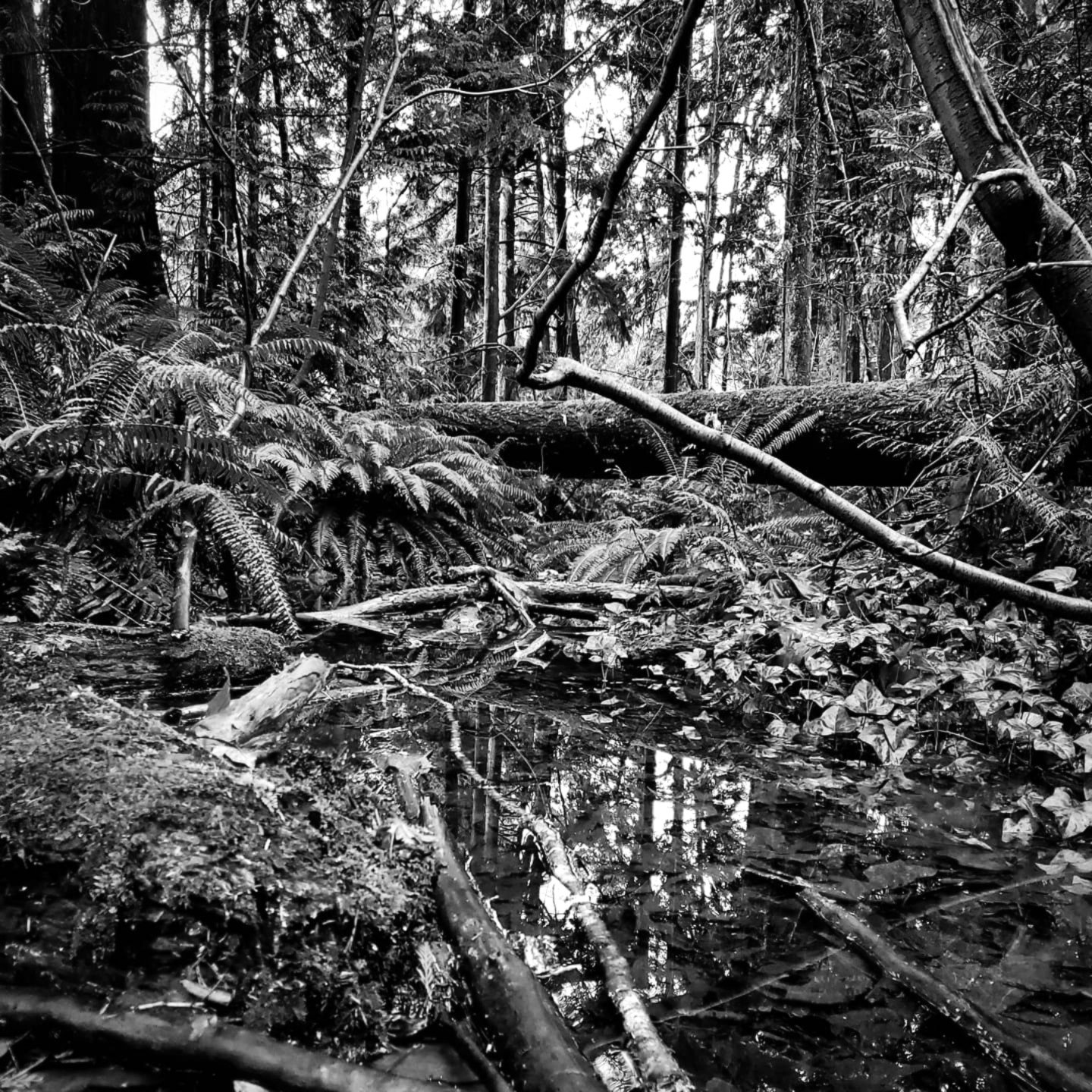 Feel Healthy During Menopause