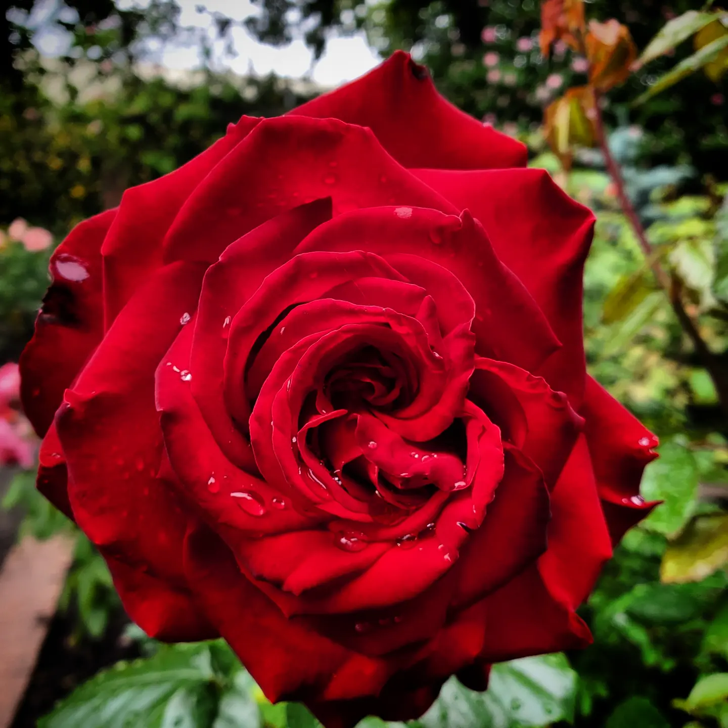 A Healthy Lifestyle Helps Tremendously